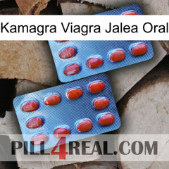 Kamagra Viagra Oral Jelly 05